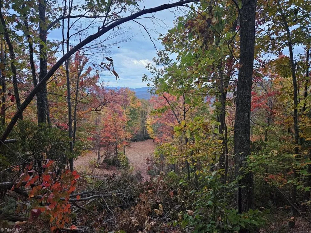 0 Shell Creek Road Ferguson, NC 28624