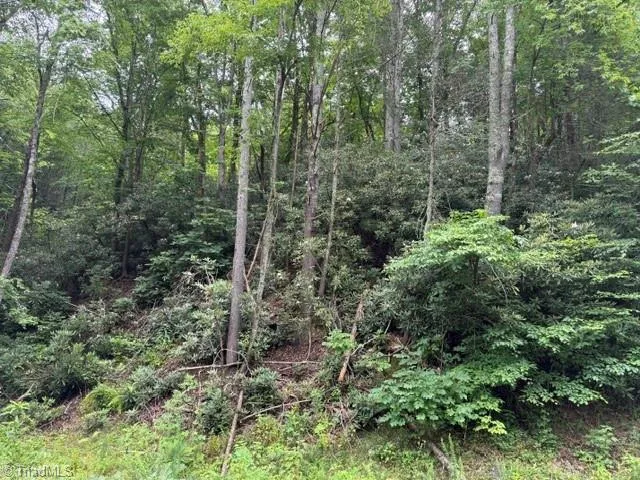 0 Shell Creek Road Ferguson, NC 28624