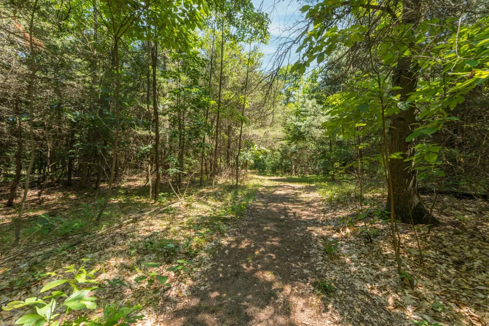 87 67th Street Casco Township, MI 49090