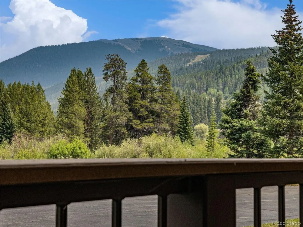 23004 US Highway 6 #102 Dillon, CO 80435