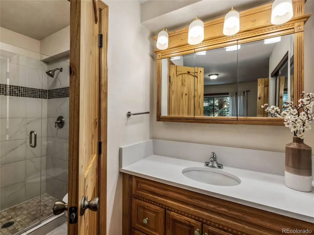 23004 US Highway 6 #102 Dillon, CO 80435