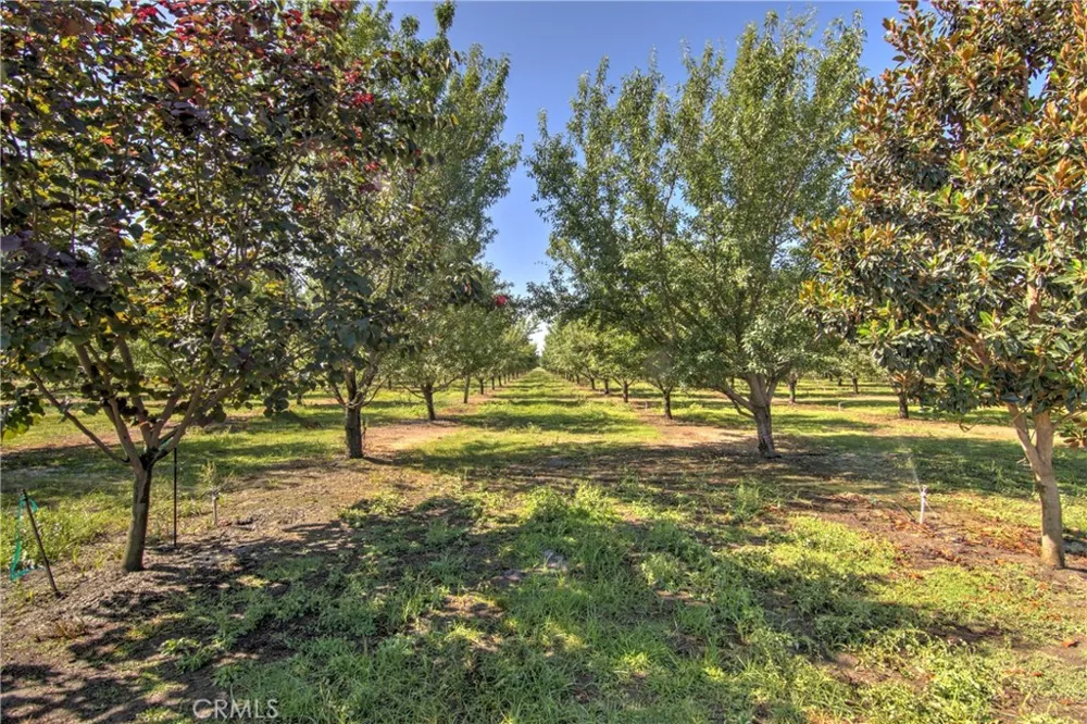 8176 County Road 44 Glenn, CA 95943