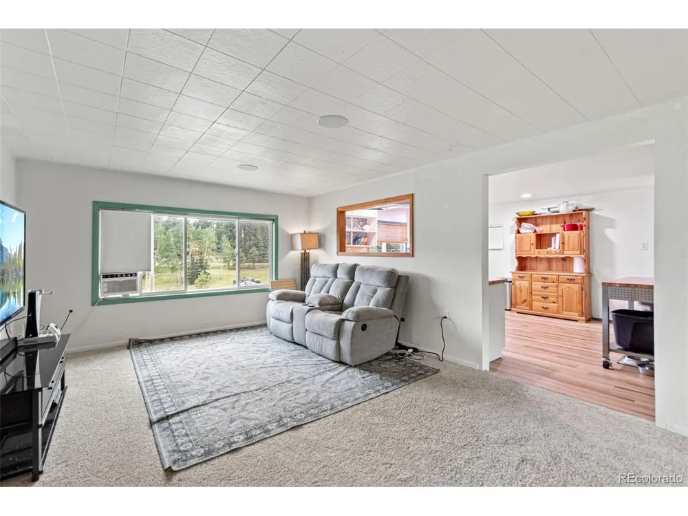 26274 Cornelius Street Conifer, CO 80433