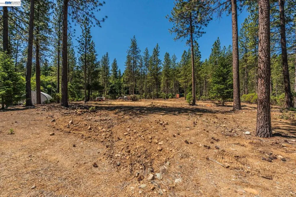 901 Dutch Creek Road Junction City, CA 96048