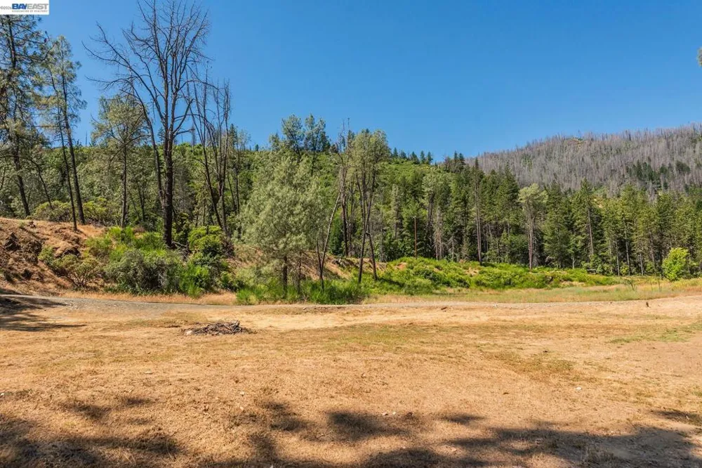 901 Dutch Creek Road Junction City, CA 96048