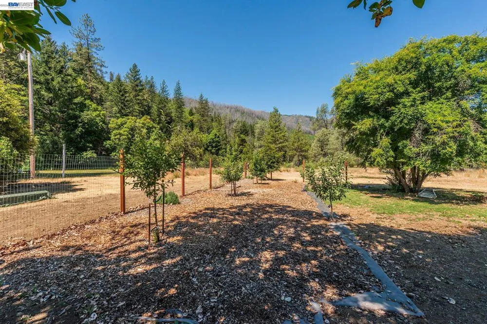 901 Dutch Creek Road Junction City, CA 96048