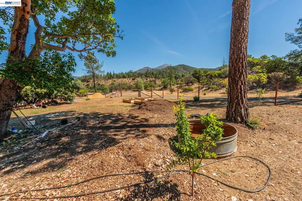 901 Dutch Creek Road Junction City, CA 96048