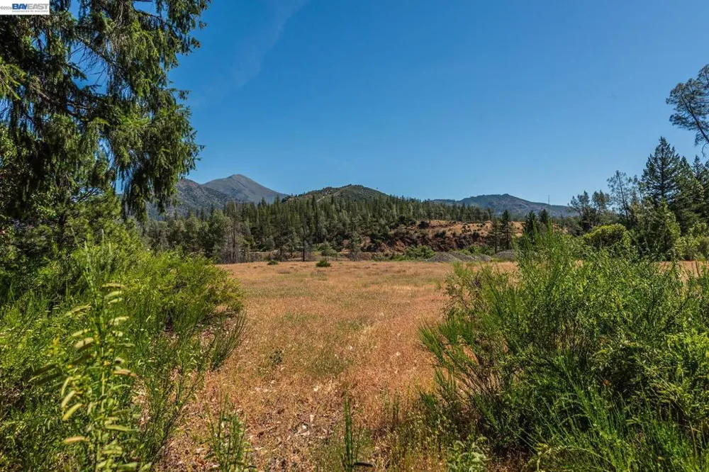 901 Dutch Creek Road Junction City, CA 96048