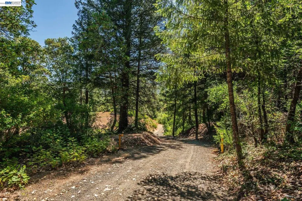 901 Dutch Creek Road Junction City, CA 96048