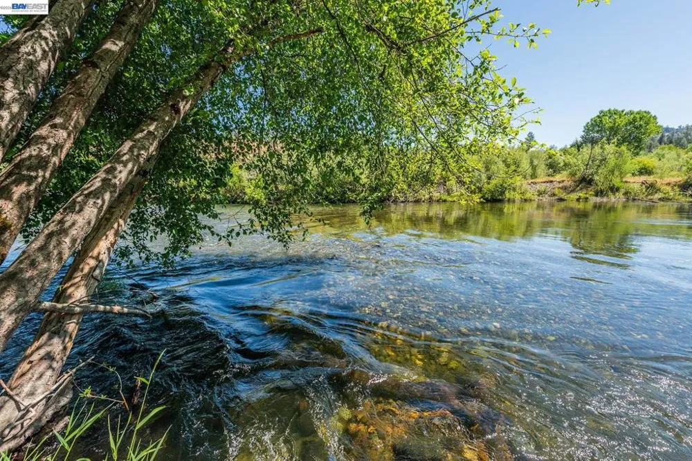 901 Dutch Creek Road Junction City, CA 96048