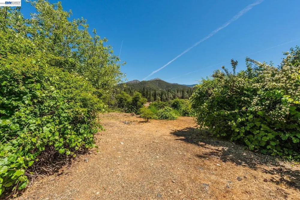 901 Dutch Creek Road Junction City, CA 96048
