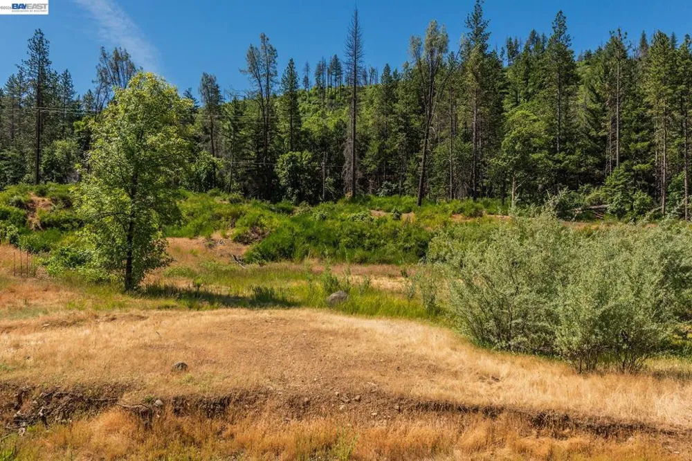 901 Dutch Creek Road Junction City, CA 96048