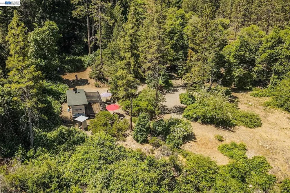 901 Dutch Creek Road Junction City, CA 96048