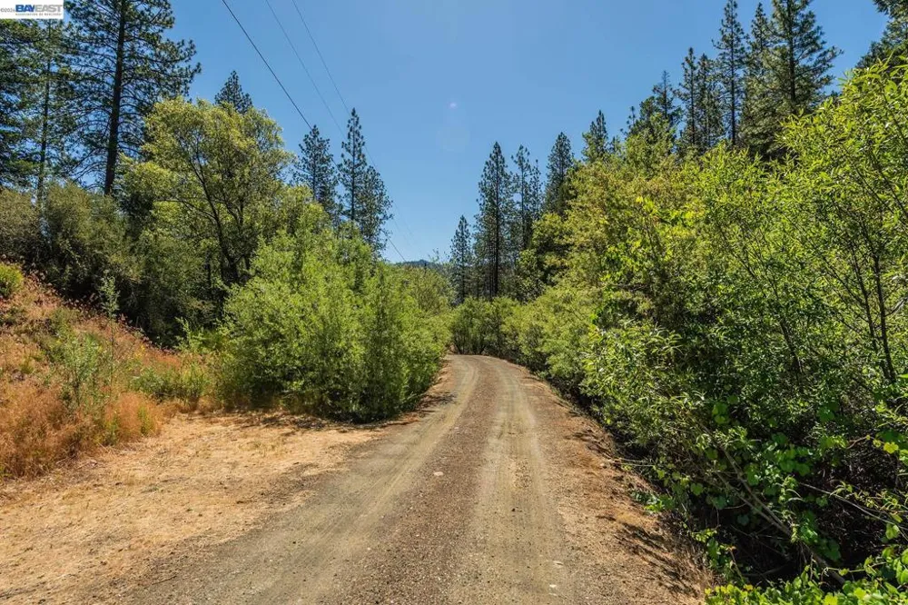 901 Dutch Creek Road Junction City, CA 96048