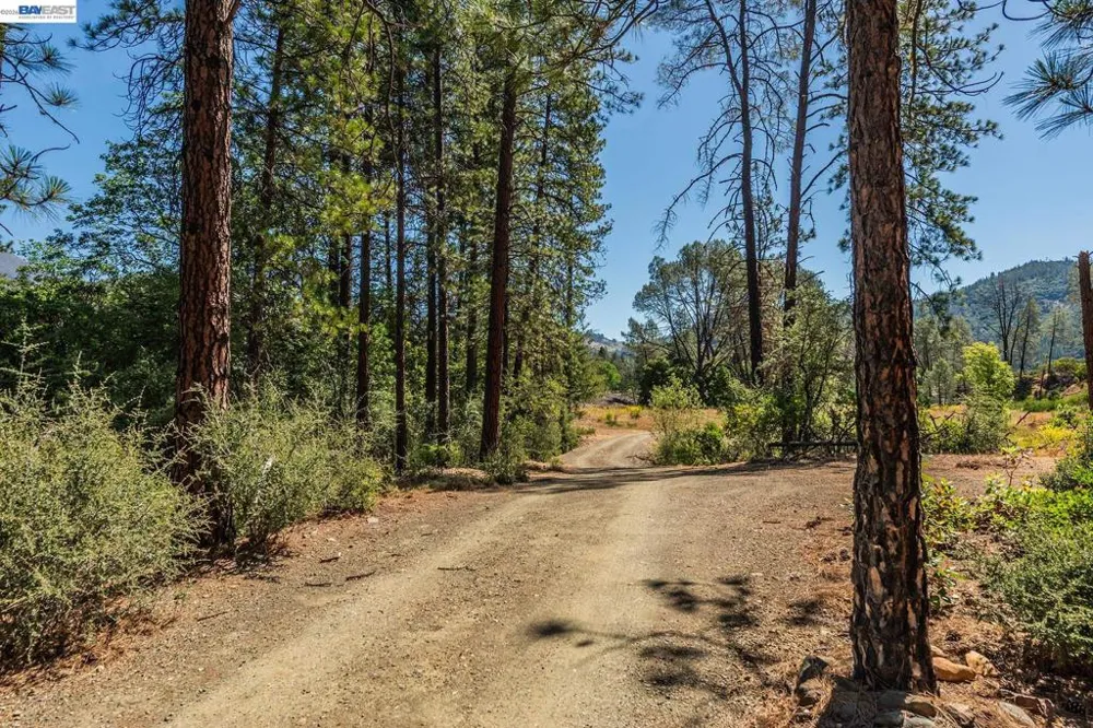 901 Dutch Creek Road Junction City, CA 96048