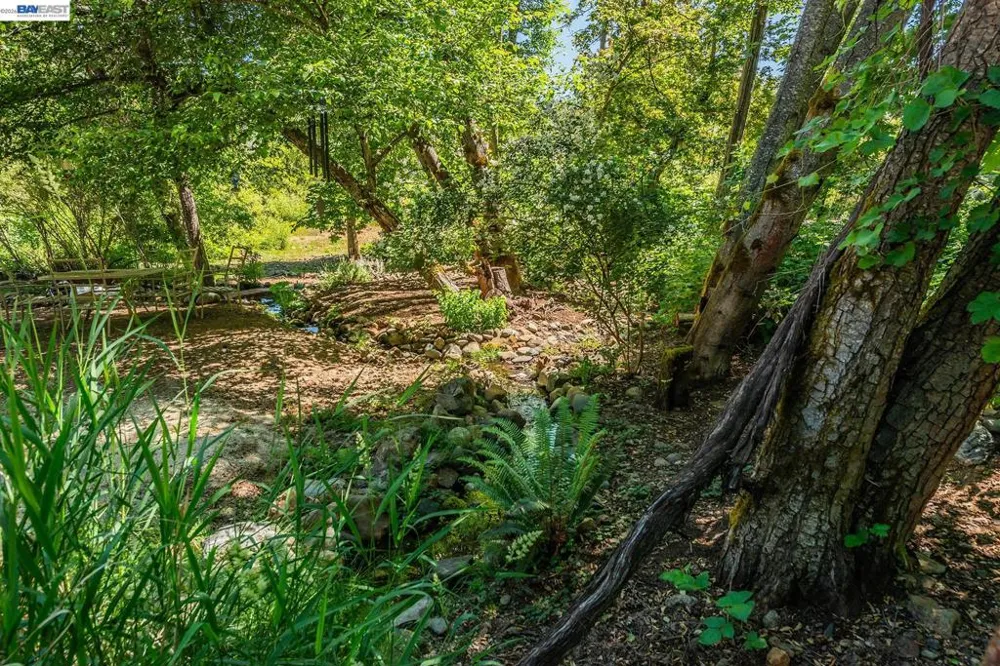 901 Dutch Creek Road Junction City, CA 96048