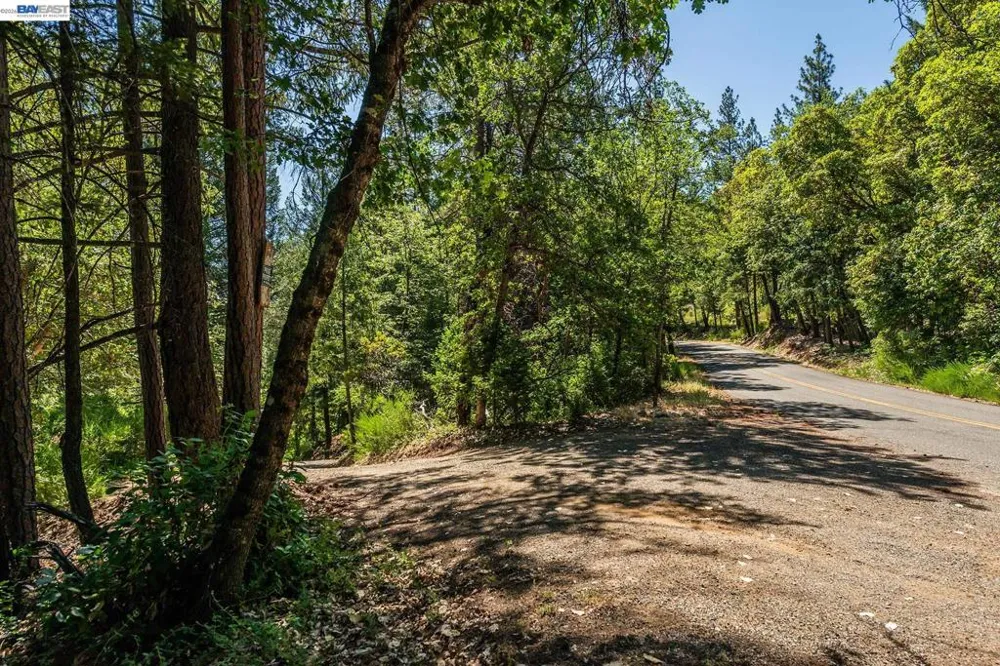 901 Dutch Creek Road Junction City, CA 96048