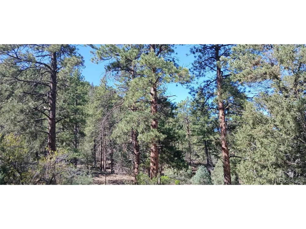 938 18th Trail Cotopaxi, CO 81223