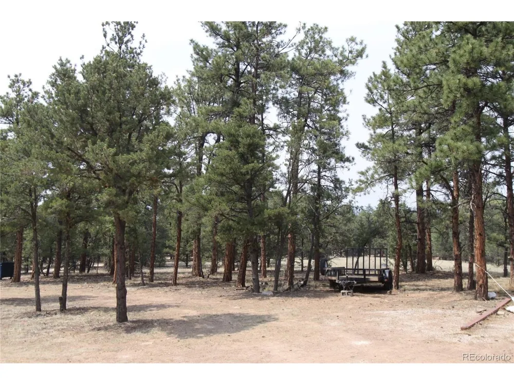 938 18th Trail Cotopaxi, CO 81223