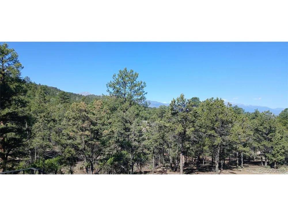 938 18th Trail Cotopaxi, CO 81223
