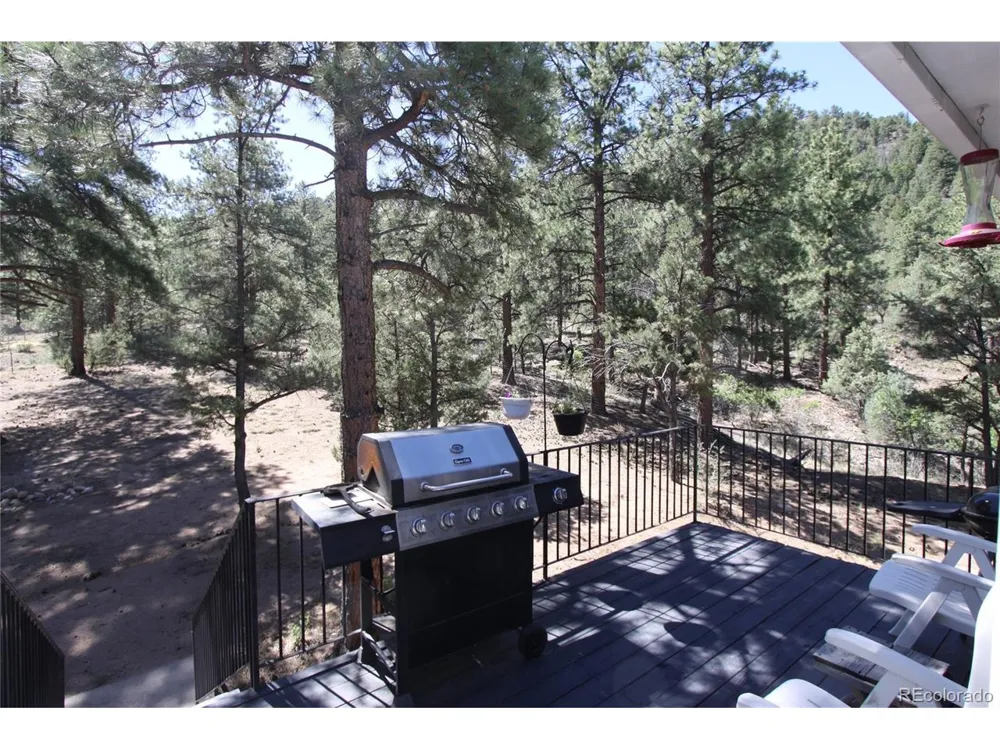 938 18th Trail Cotopaxi, CO 81223