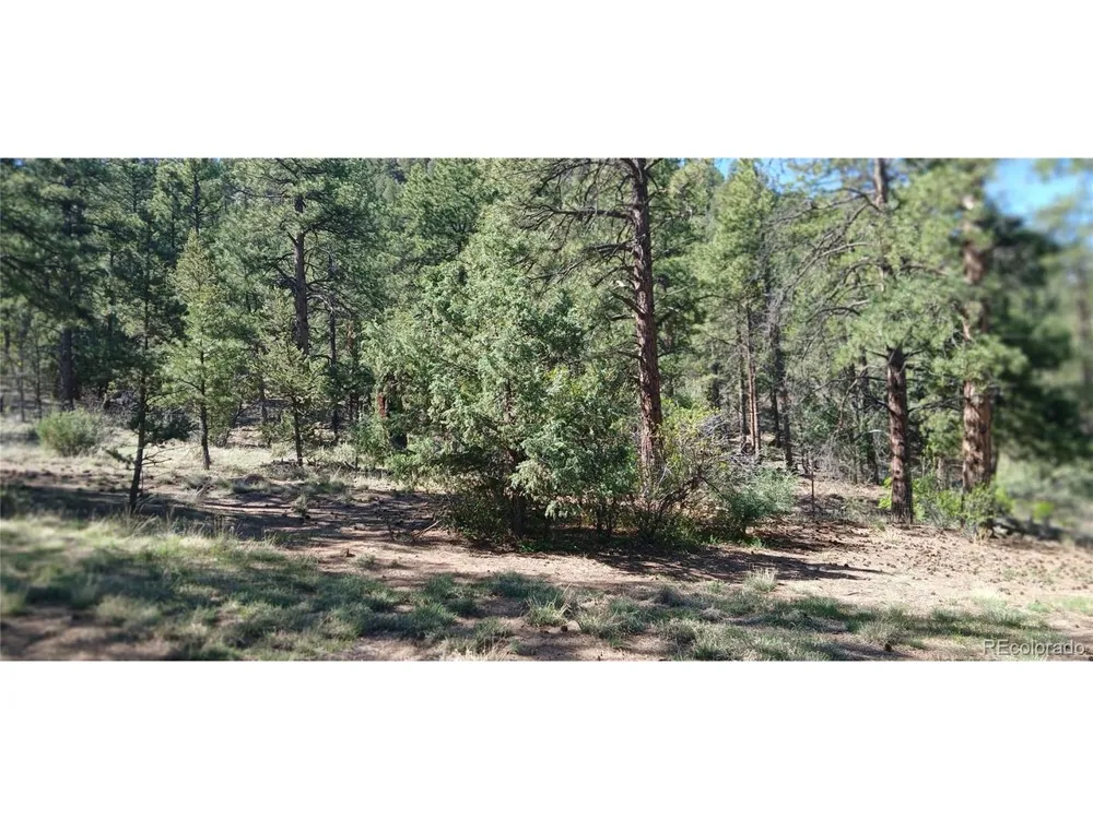 938 18th Trail Cotopaxi, CO 81223