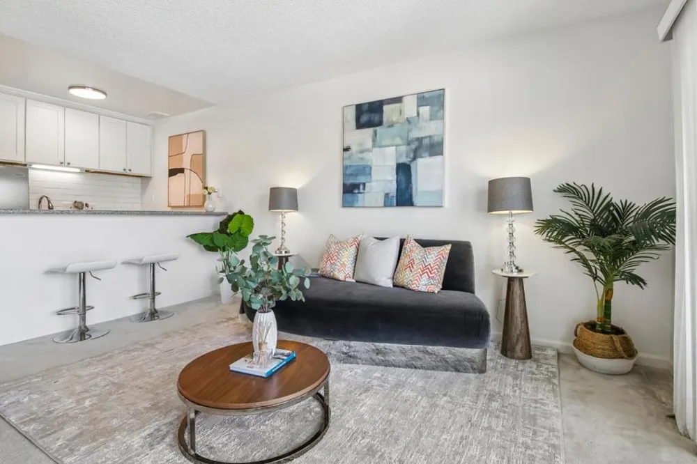 814 Delaware Street #504 San Mateo, CA 94401