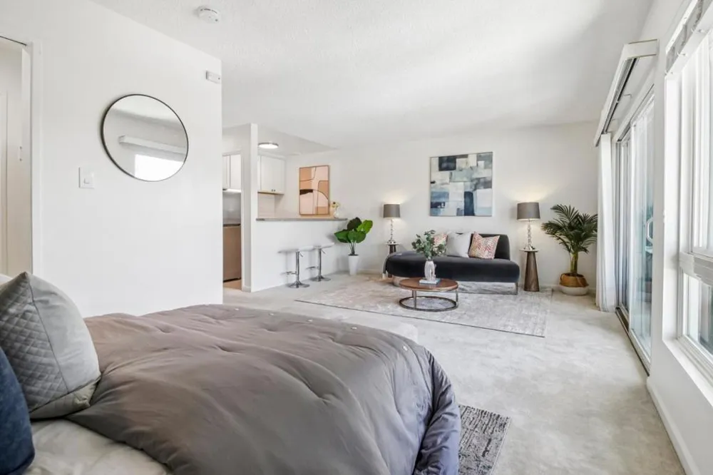 814 Delaware Street #504 San Mateo, CA 94401