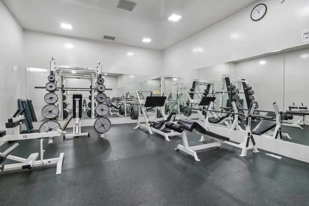 814 Delaware Street #504 San Mateo, CA 94401
