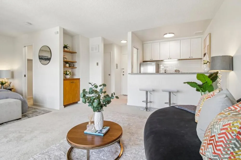 814 Delaware Street #504 San Mateo, CA 94401