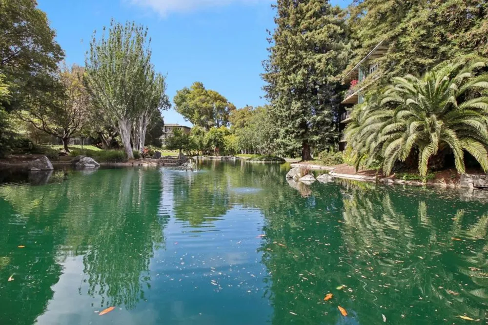 814 Delaware Street #504 San Mateo, CA 94401