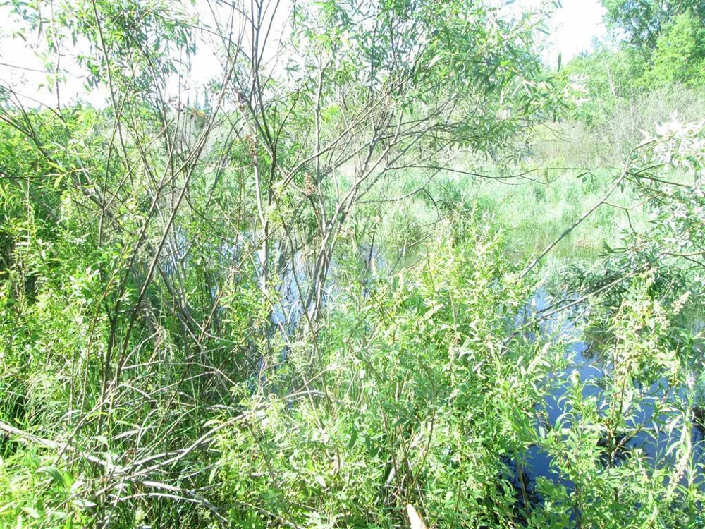 6810 Northeast Road Wright, MN 55798