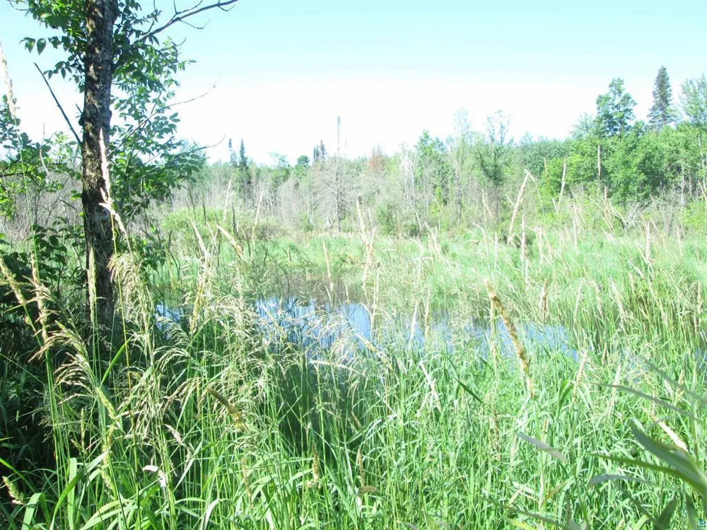 6810 Northeast Road Wright, MN 55798