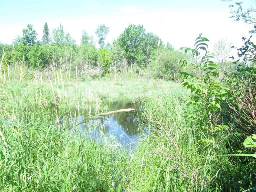6810 Northeast Road Wright, MN 55798