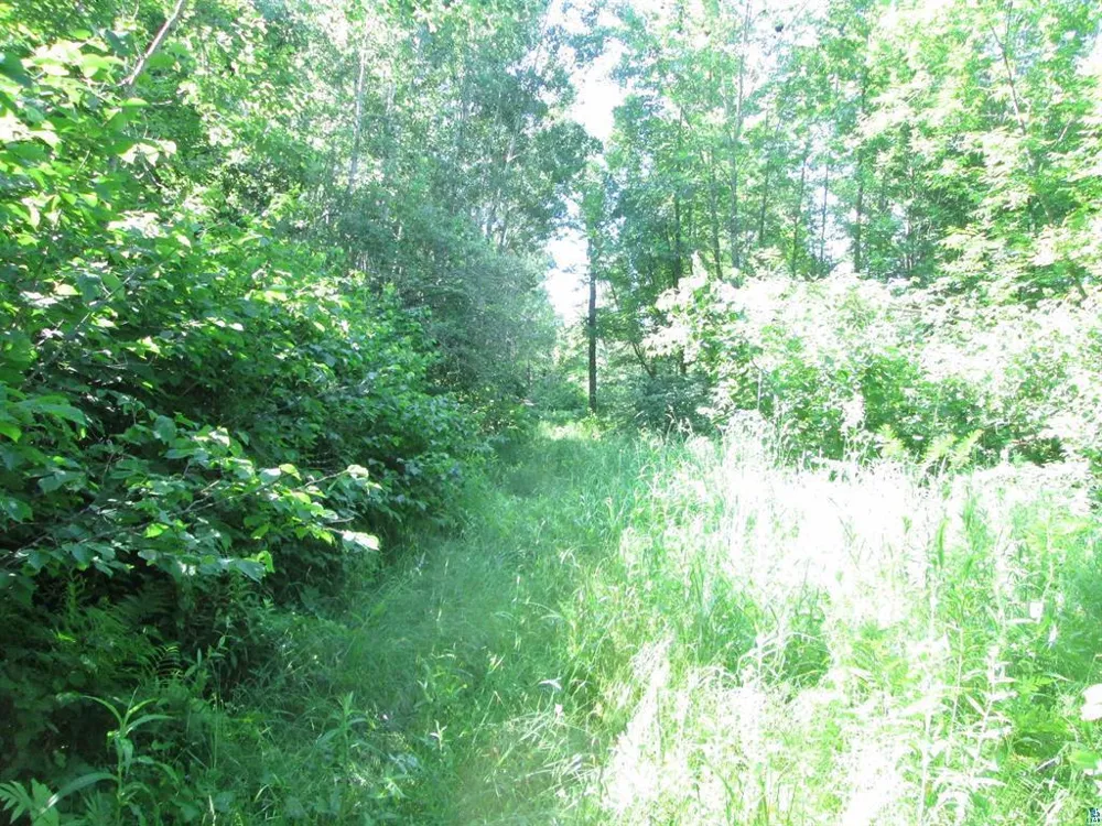 6810 Northeast Road Wright, MN 55798