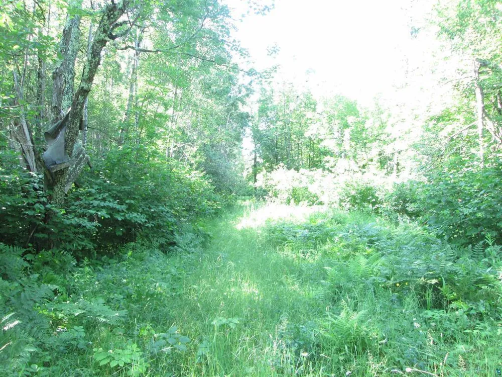 6810 Northeast Road Wright, MN 55798