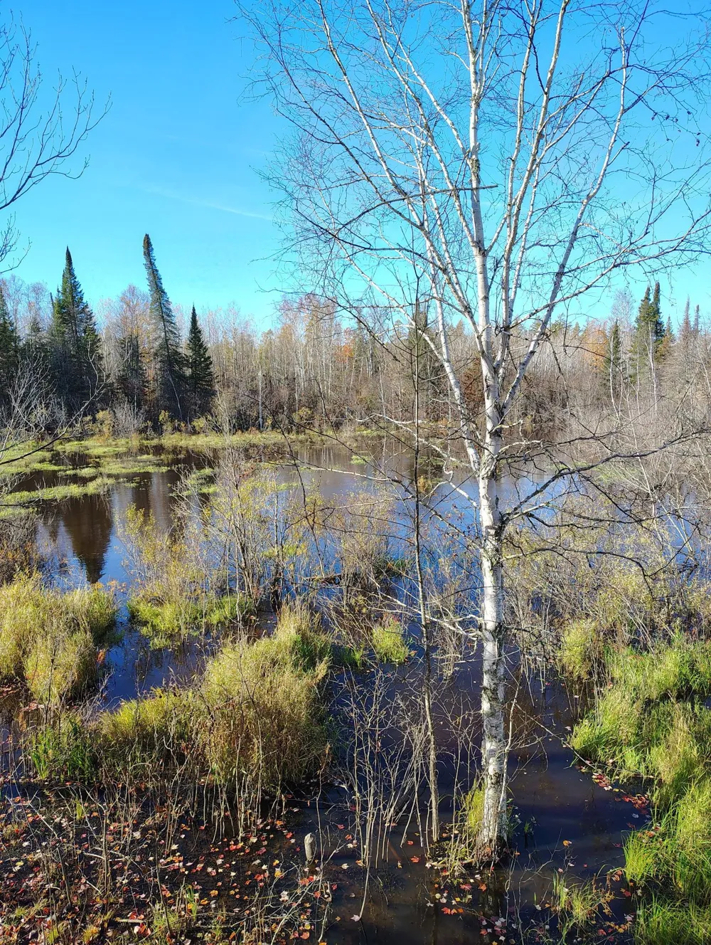 6810 Northeast Road Wright, MN 55798