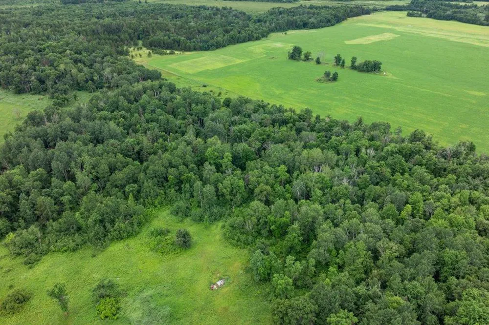 7625 96th Street SW Motley, MN 56466