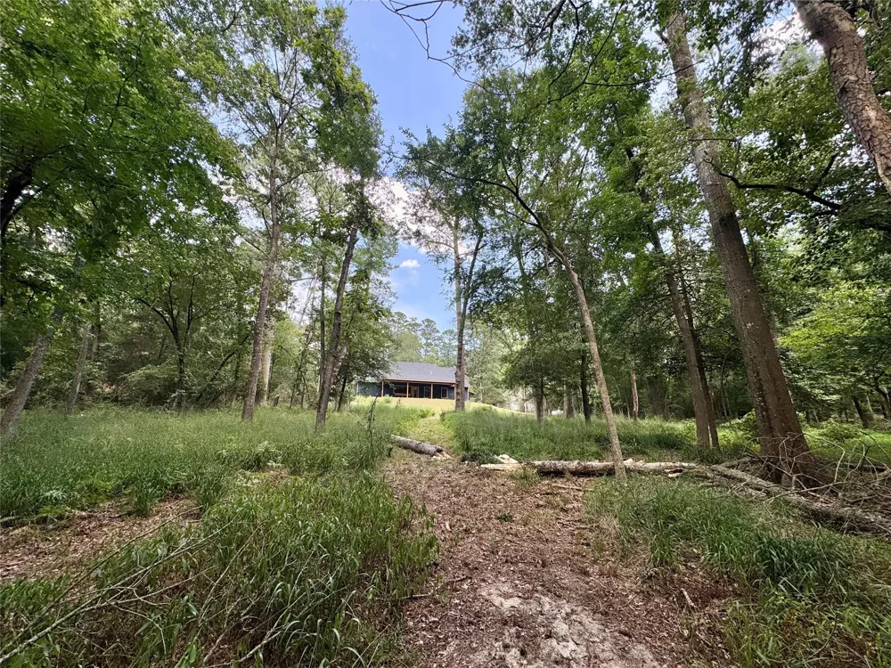 2133 Holly Trail E Holly Lake Ranch, TX 75765