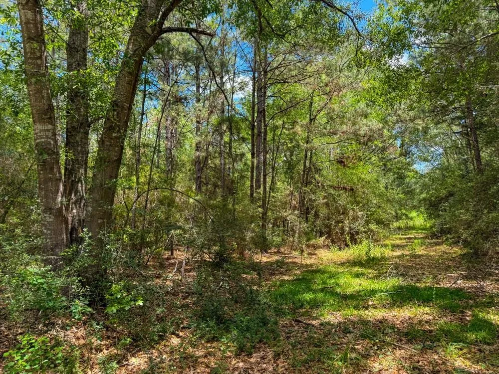 Private Road 51701 Kirbyville, TX 75956
