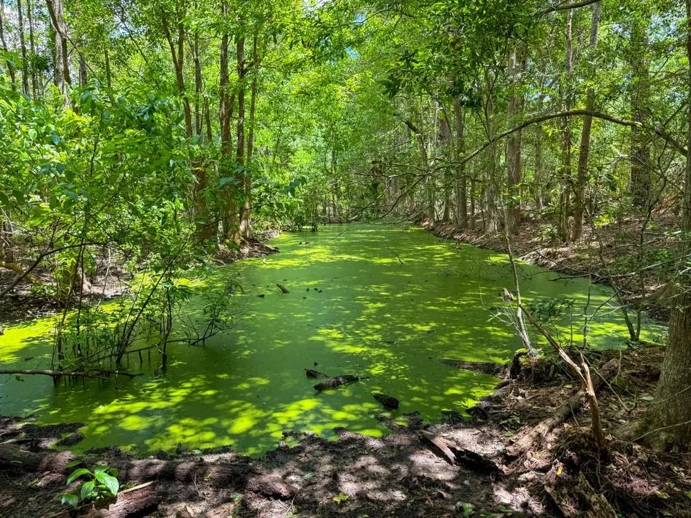 Private Road 51701 Kirbyville, TX 75956