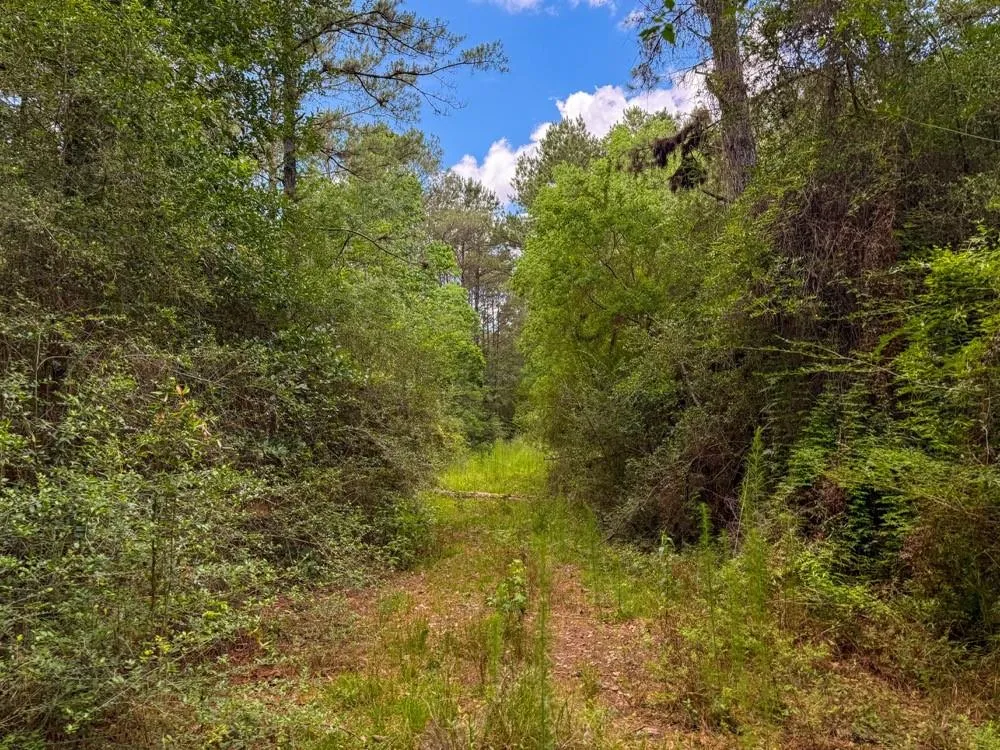 Private Road 51701 Kirbyville, TX 75956