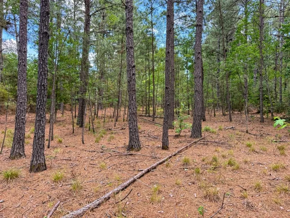Private Road 51701 Kirbyville, TX 75956