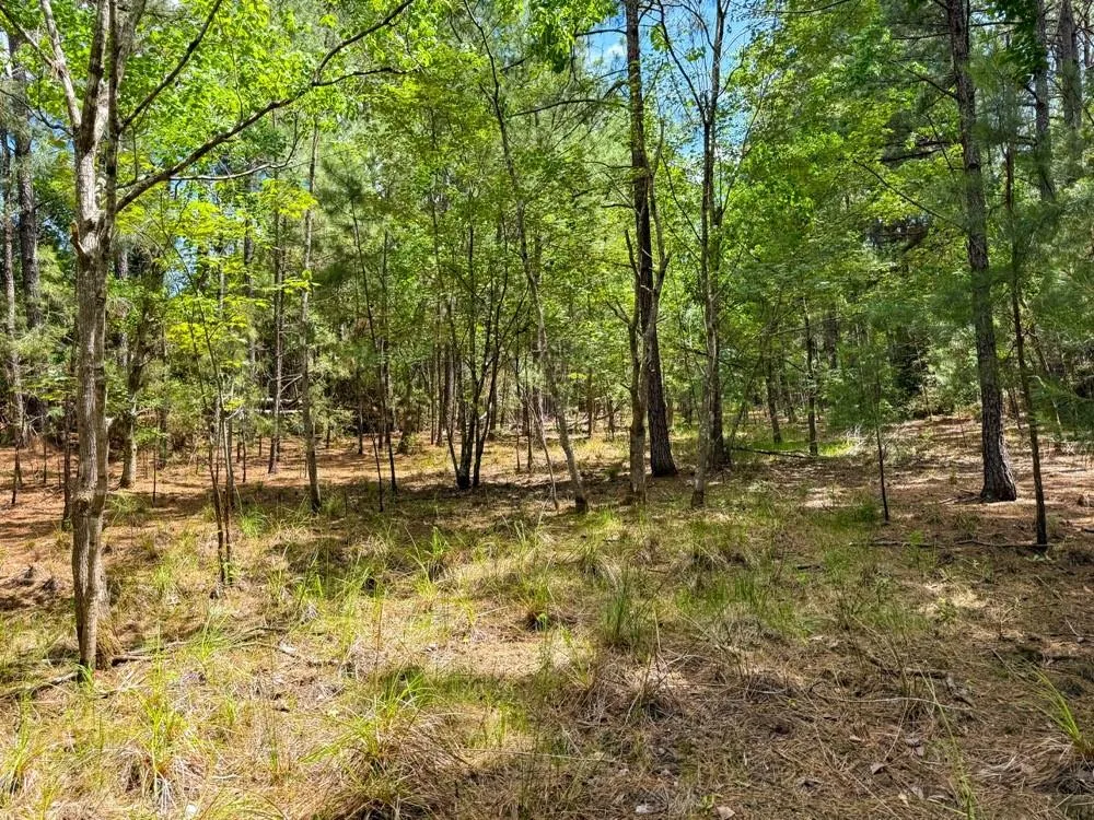 Private Road 51701 Kirbyville, TX 75956