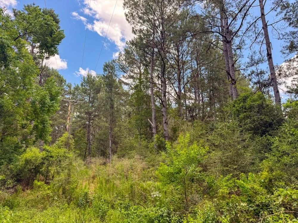 Private Road 51701 Kirbyville, TX 75956