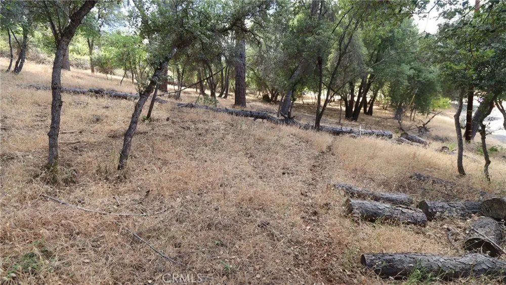 10465 Boren Bega Drive Kelseyville, CA 95451