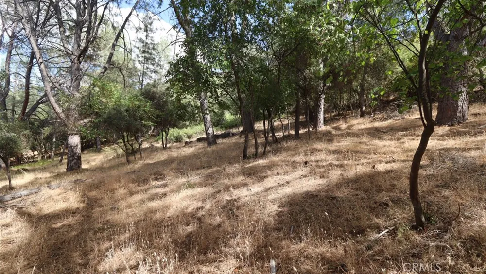 10465 Boren Bega Drive Kelseyville, CA 95451