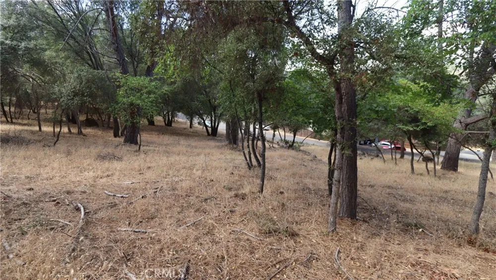 10465 Boren Bega Drive Kelseyville, CA 95451