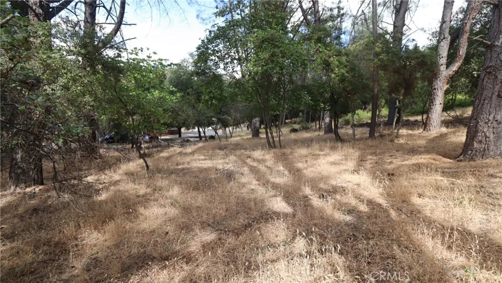 10465 Boren Bega Drive Kelseyville, CA 95451