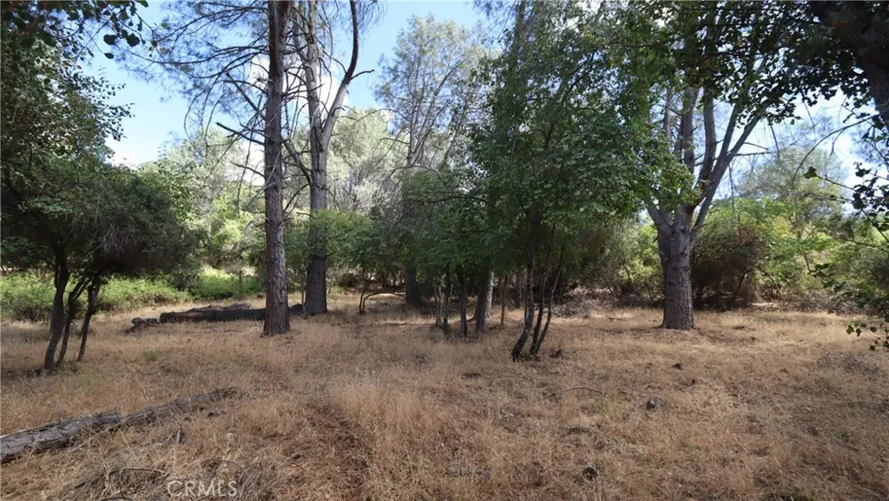 10465 Boren Bega Drive Kelseyville, CA 95451
